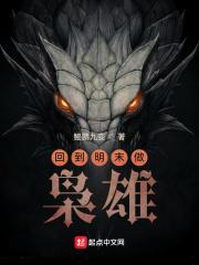 回到明末做枭雄 回到明末做枭雄