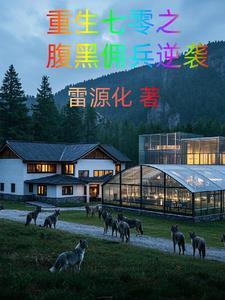 70年代,星际传承与商业传奇 70年代,星际传承与商业传奇