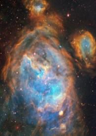 白桃乌龙梅子酒 白桃乌龙梅子酒